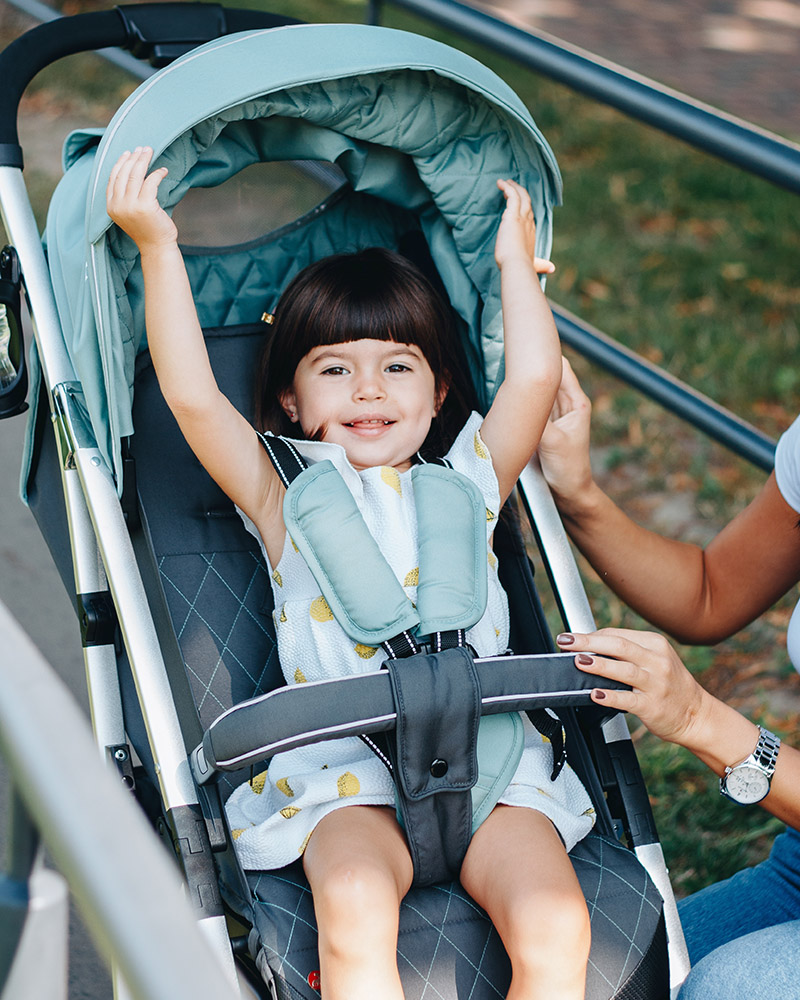 Stai bene, ragazzo! Sembrerebbe, cosa c'entra il passeggino?.. 10