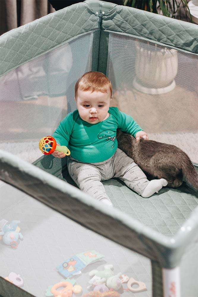 Box e miti: parlare con uno scettico 2