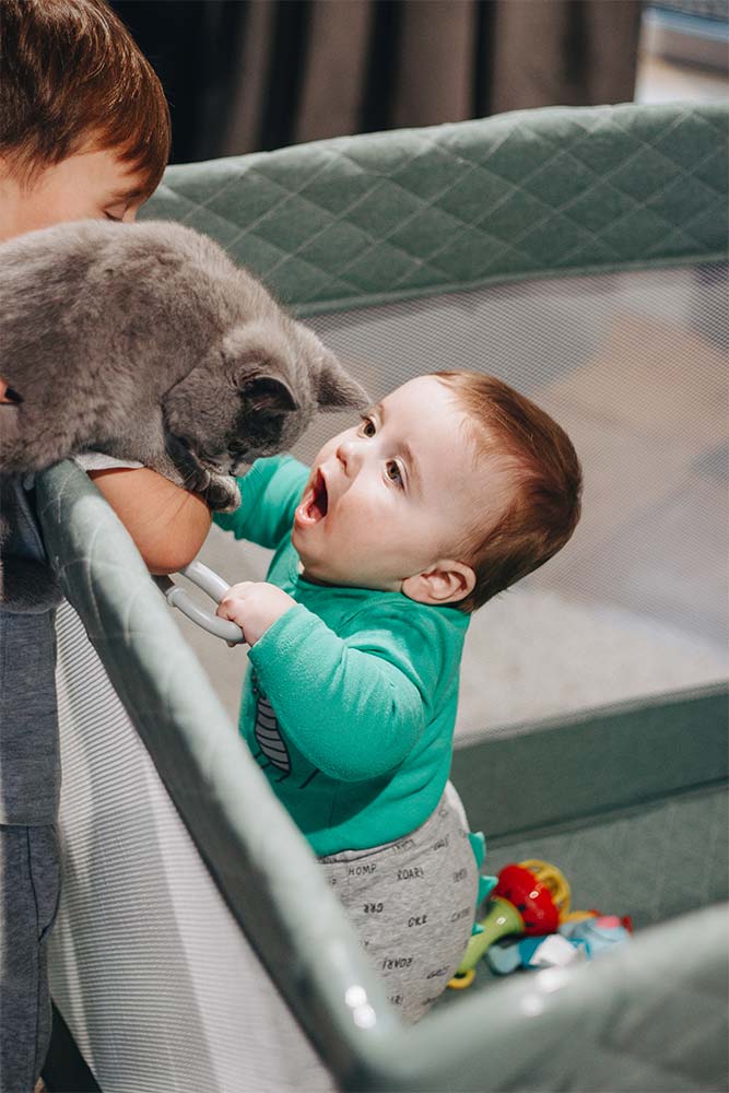 Box e miti: parlare con uno scettico 1