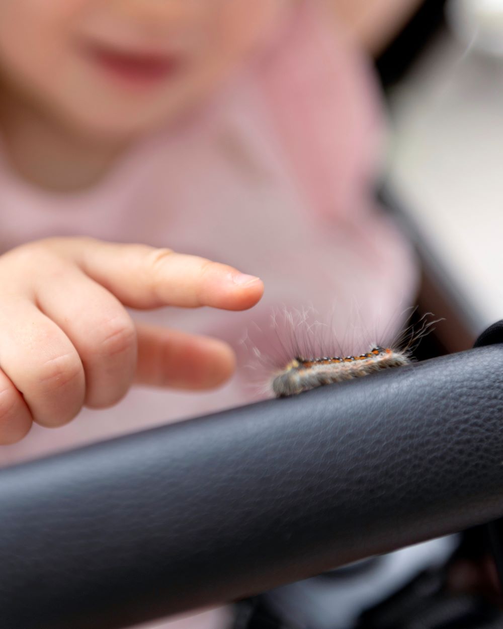 Transformers & Kids: Super forza di Carrello 1