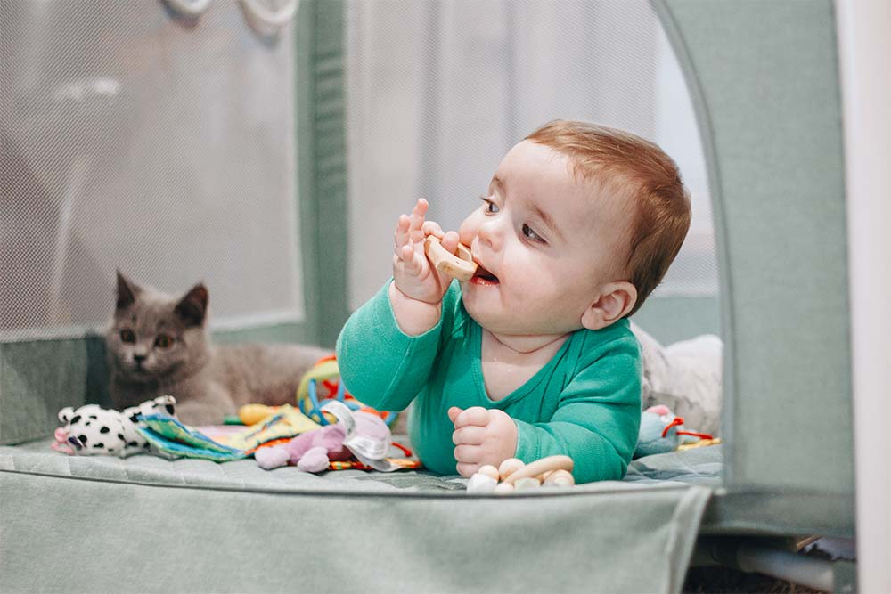 Box e miti: parlare con uno scettico 6