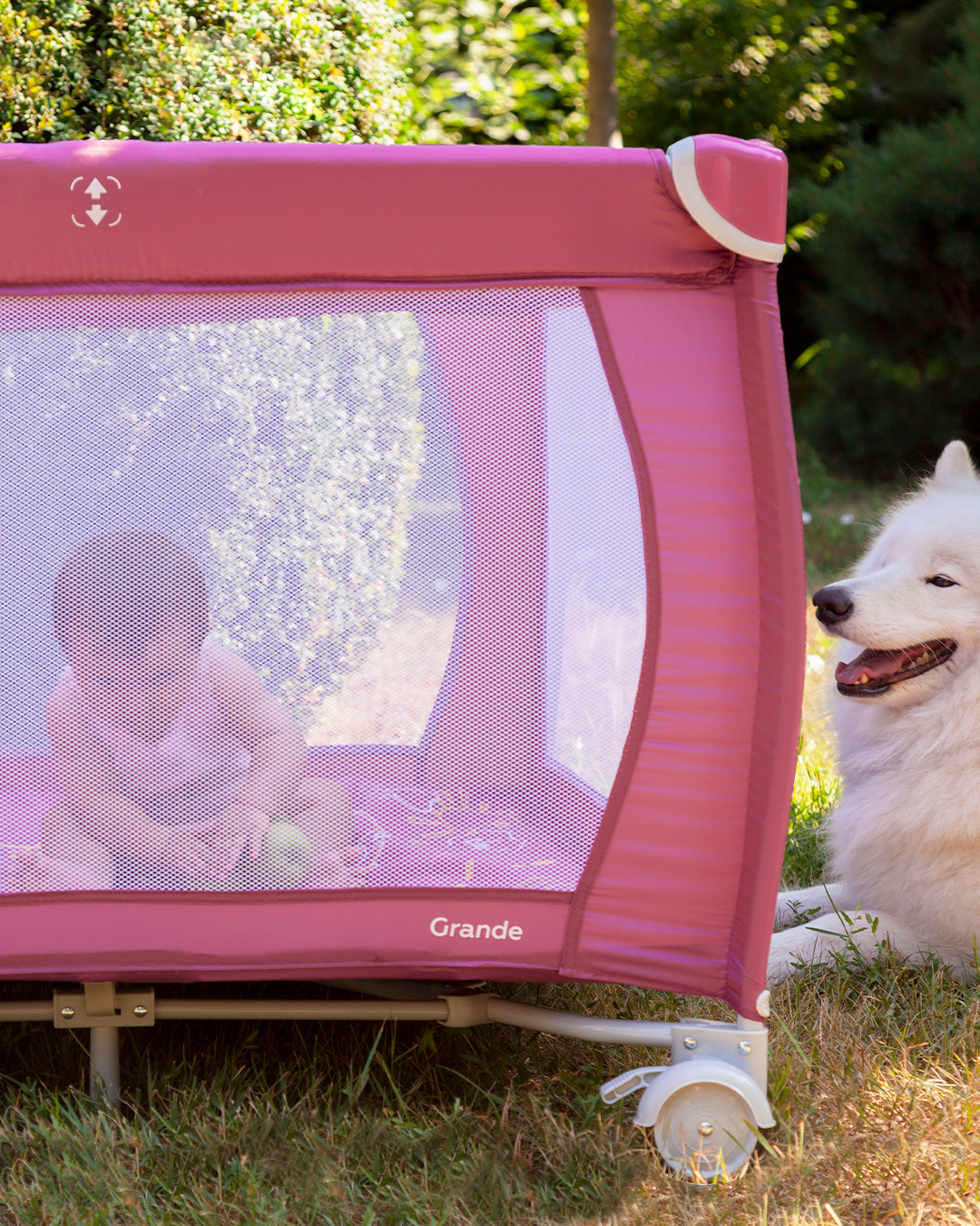 Come allevare una principessa felice e di successo, o un papà può... 6