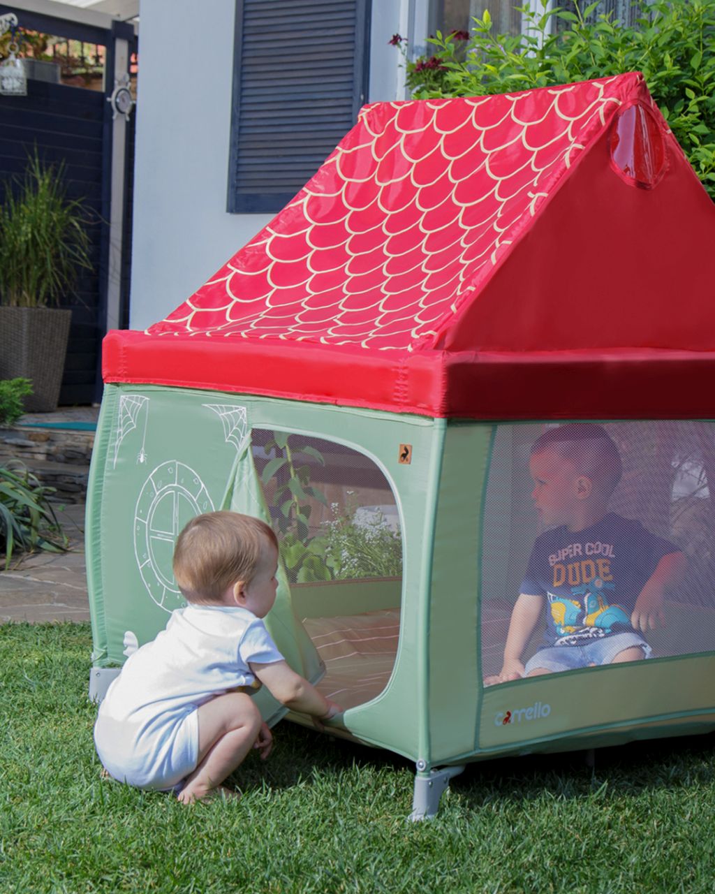 Io stesso!!! o crescere con Carrello 11